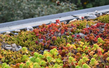 the cost of Totnell green roof installation