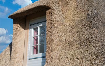 Totnell thatch roof disadvantages